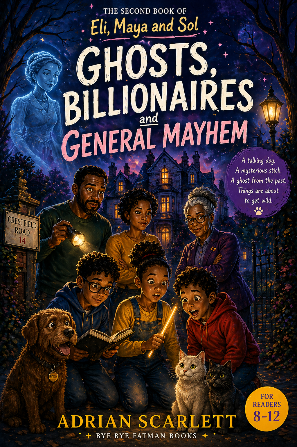 Ghosts, Billionaires and General Mayhem book cover