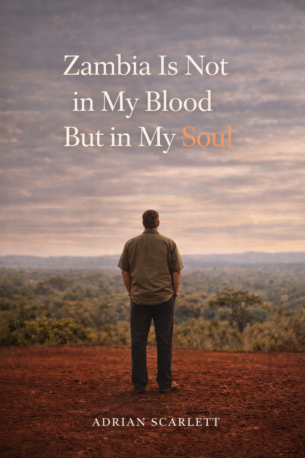 Zambia Is Not in My Blood But in My Soul book cover